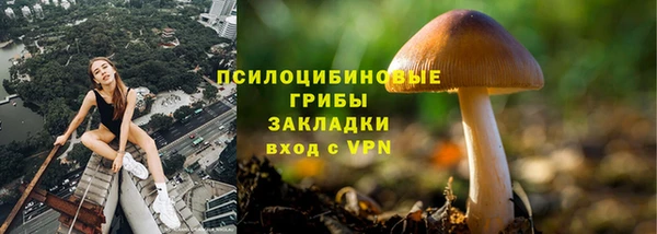 гашик Майский