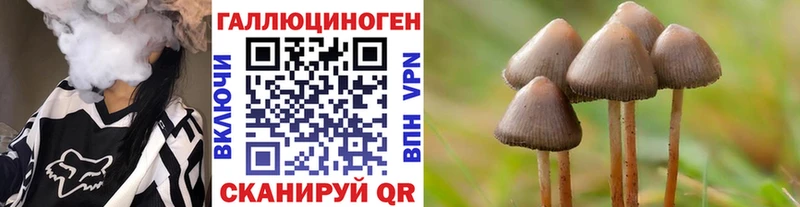 где купить наркоту  гидра как войти  Галлюциногенные грибы мухоморы  Шацк 